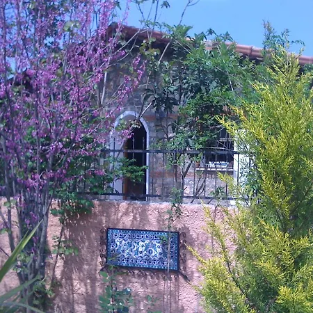 Fig Garden Dom wakacyjny Kayakoy