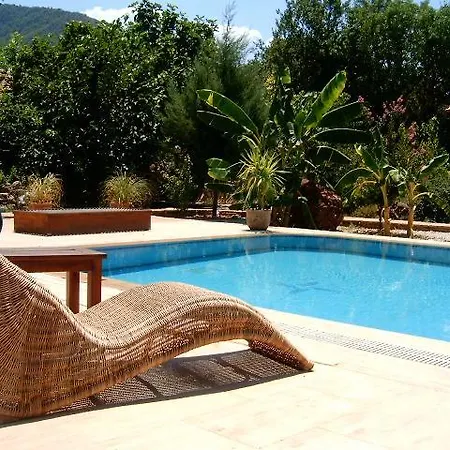 Vakantiehuis Fig Garden *