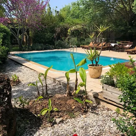 Dom wakacyjny Fig Garden *