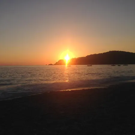 Casa de Férias Fig Garden