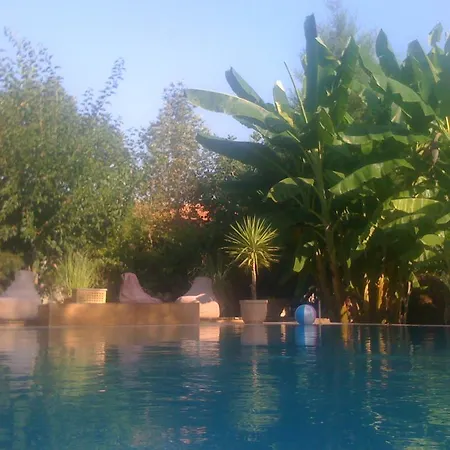 Fig Garden *
