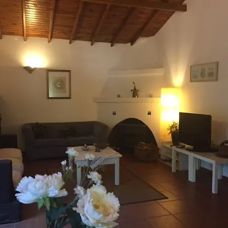 Fig Garden Ferienhaus Kayakoy