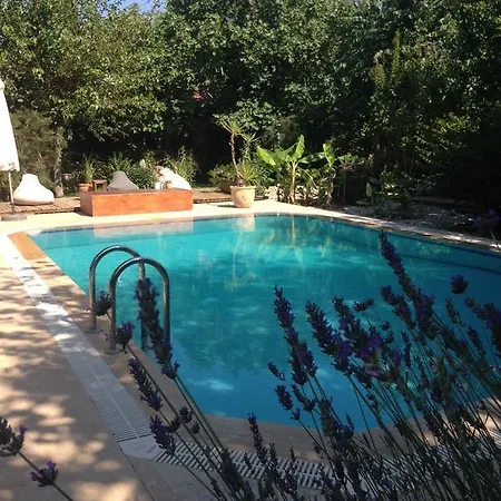 Fig Garden * Kayakoy