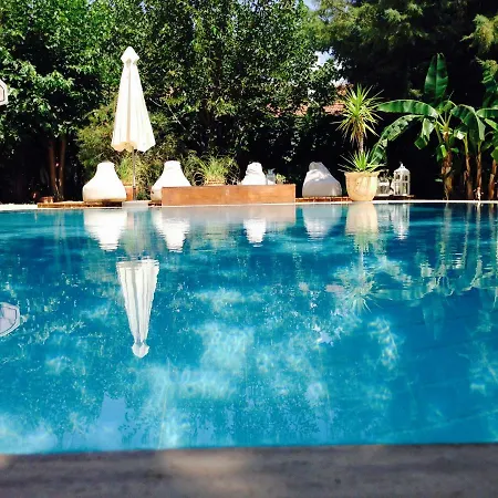 Nyaraló Fig Garden *