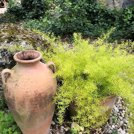 Ferienhaus Fig Garden