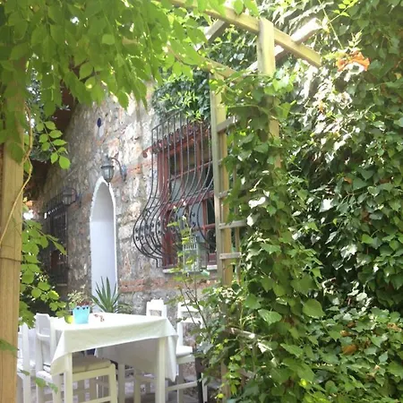 Fig Garden Ferienhaus