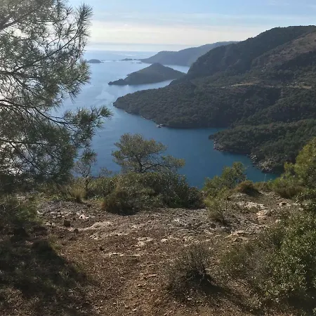 Fig Garden Ferienhaus *