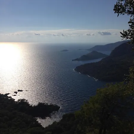 Nyaraló Fig Garden Kayakoy