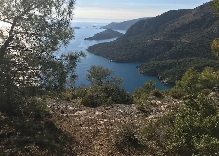 Fig Garden Casa de Férias *